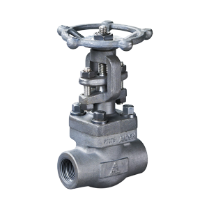 Forged Steel Gate Valves